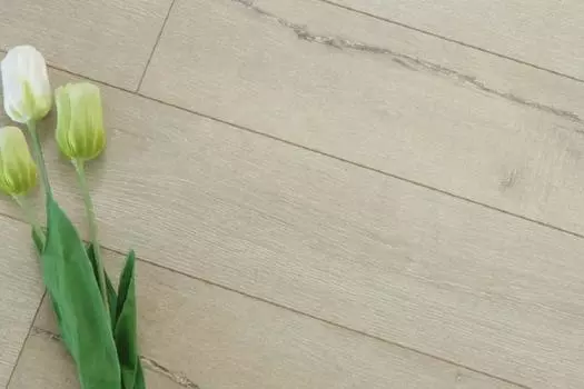 Ламинат Proteco