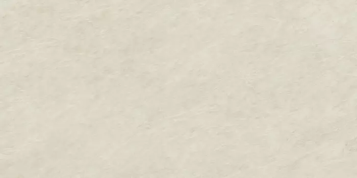 Marvel AENV Gris Imperial White Lappato 120х240 см