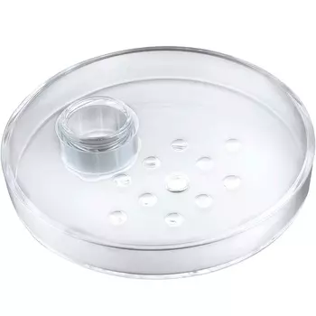 Мыльница Iddis