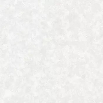 Обои Alessandro Allori