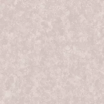 Обои Alessandro Allori