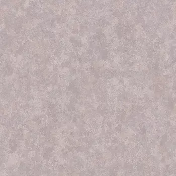 Обои Alessandro Allori