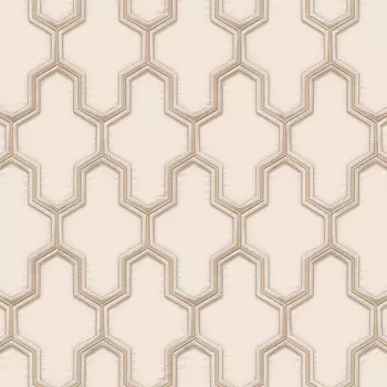 Обои Alessandro Allori