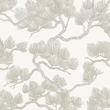 Обои Alessandro Allori