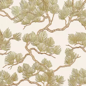 Обои Alessandro Allori