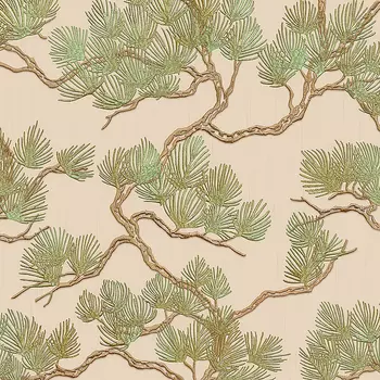 Обои Alessandro Allori