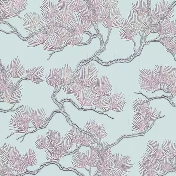 Обои Alessandro Allori