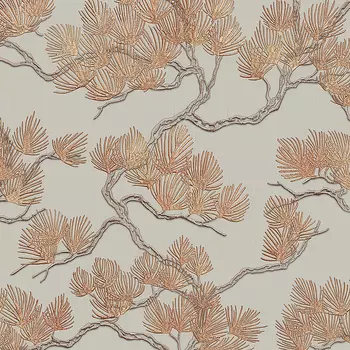 Обои Alessandro Allori