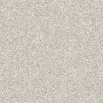 Обои Alessandro Allori