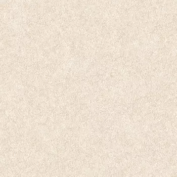 Обои Alessandro Allori