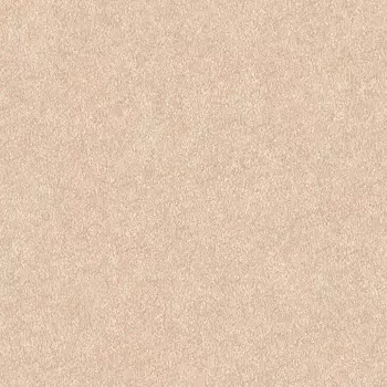 Обои Alessandro Allori