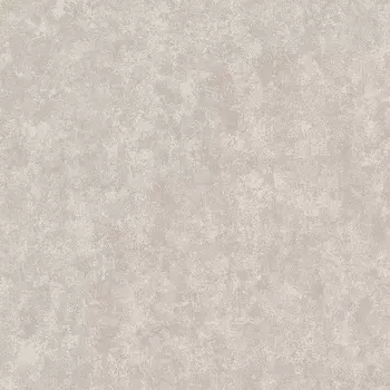 Обои Alessandro Allori