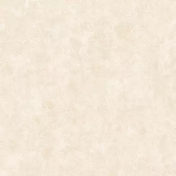 Обои Alessandro Allori