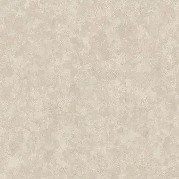 Обои Alessandro Allori