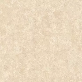 Обои Alessandro Allori