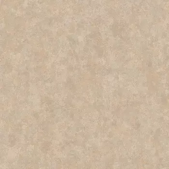 Обои Alessandro Allori