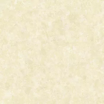 Обои Alessandro Allori