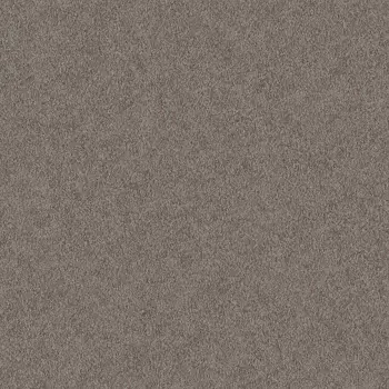 Обои Alessandro Allori