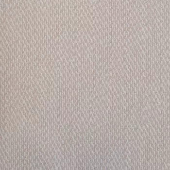 Обои Alessandro Allori