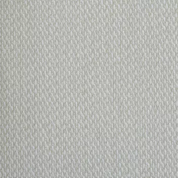 Обои Alessandro Allori