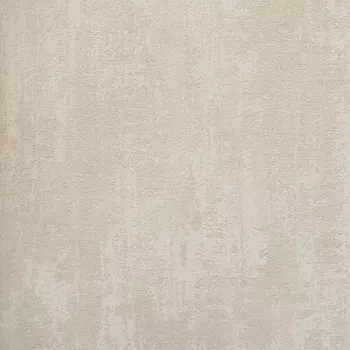 Обои Alessandro Allori