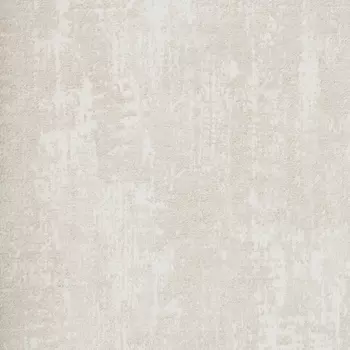 Обои Alessandro Allori