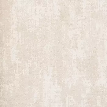 Обои Alessandro Allori