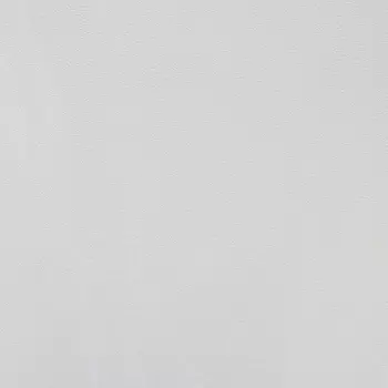 Обои Alessandro Allori