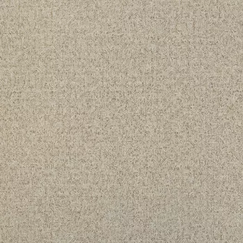 Обои Alessandro Allori