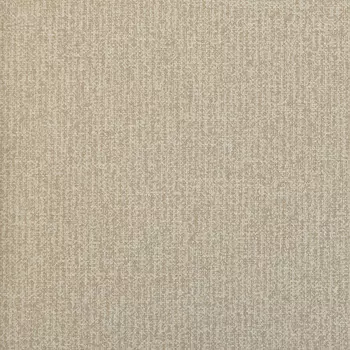 Обои Alessandro Allori