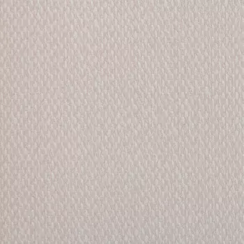 Обои Alessandro Allori