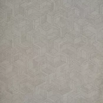 Обои Alessandro Allori