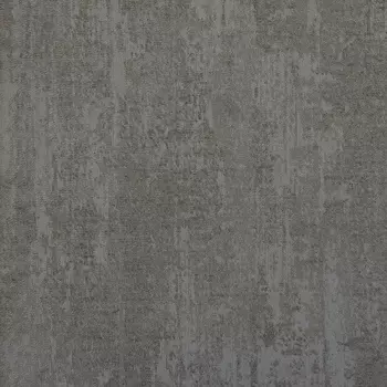 Обои Alessandro Allori