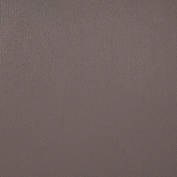 Обои Alessandro Allori