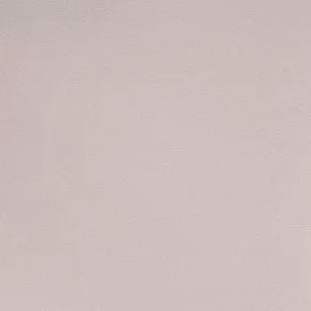 Обои Alessandro Allori