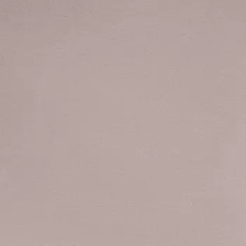 Обои Alessandro Allori