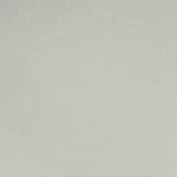 Обои Alessandro Allori