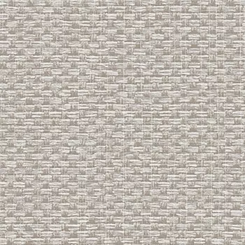 Обои Alessandro Allori