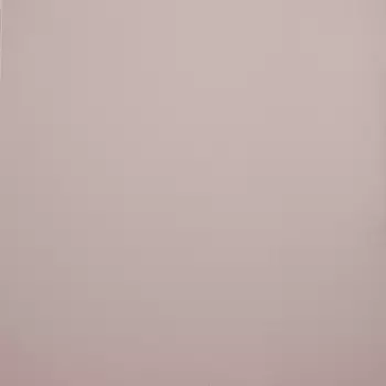 Обои Alessandro Allori