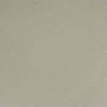 Обои Alessandro Allori