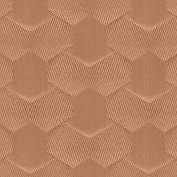 Обои Alessandro Allori