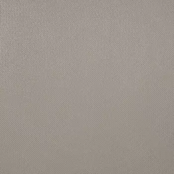 Обои Alessandro Allori