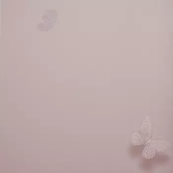 Обои Alessandro Allori