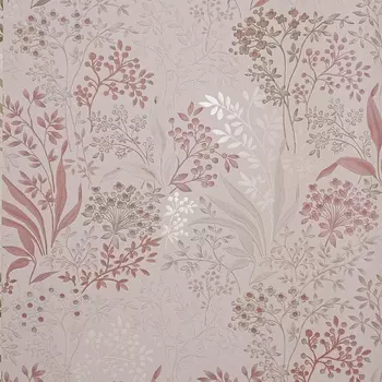 Обои Alessandro Allori