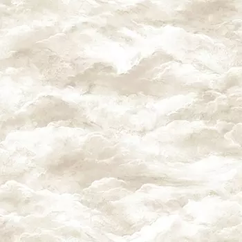 Обои Alessandro Allori