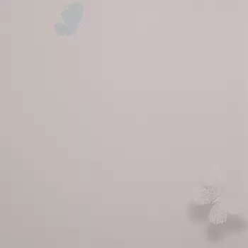 Обои Alessandro Allori