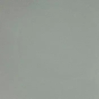 Обои Alessandro Allori