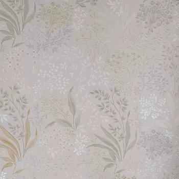 Обои Alessandro Allori