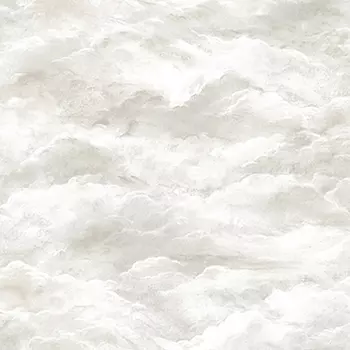 Обои Alessandro Allori