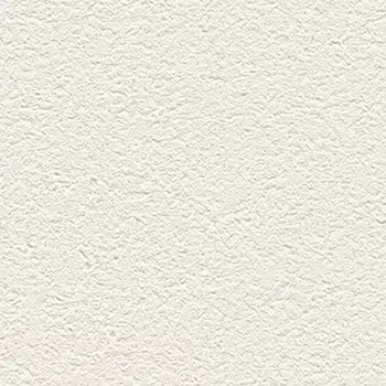 Обои Alessandro Allori